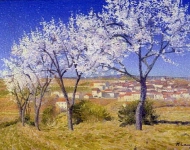 Achille Louge - Flowering Almond Trees Cailhau